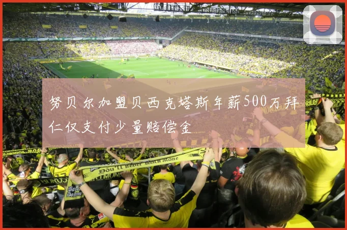 努贝尔加盟贝西克塔斯年薪500万拜仁仅支付少量赔偿金